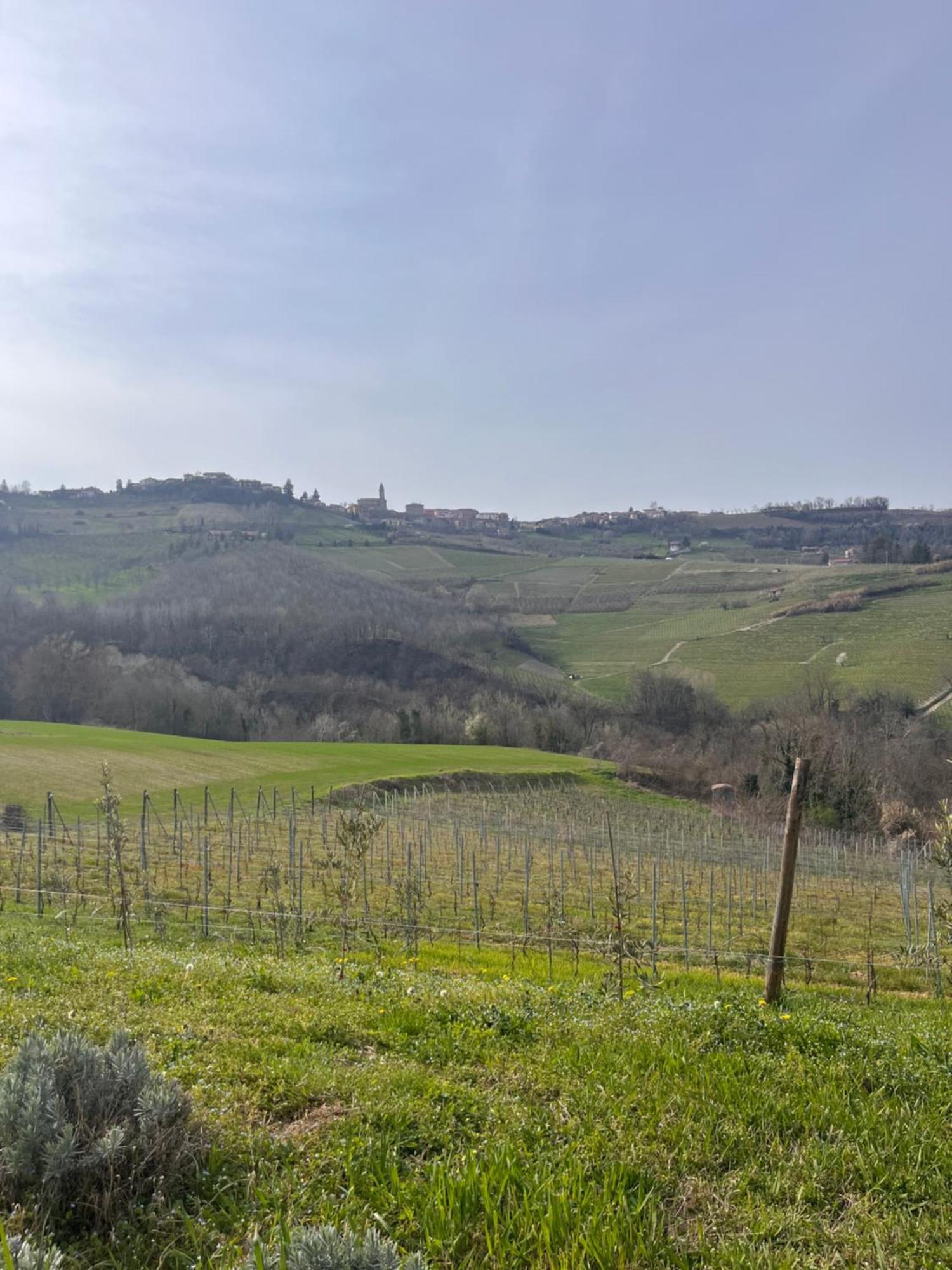 فندق Le Cornici - Cascina Di Charme Diano dʼAlba المظهر الخارجي الصورة